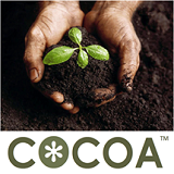 photo cocoa-offers-a-waste-management-solution.png