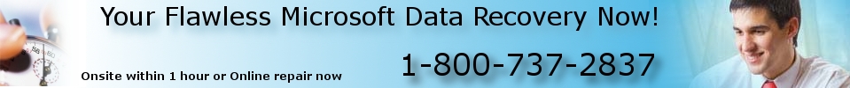 Microsoft Data Recovery Microsoft Data Recovery