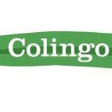 photo colingo-makes-learning-english-personal.jpg